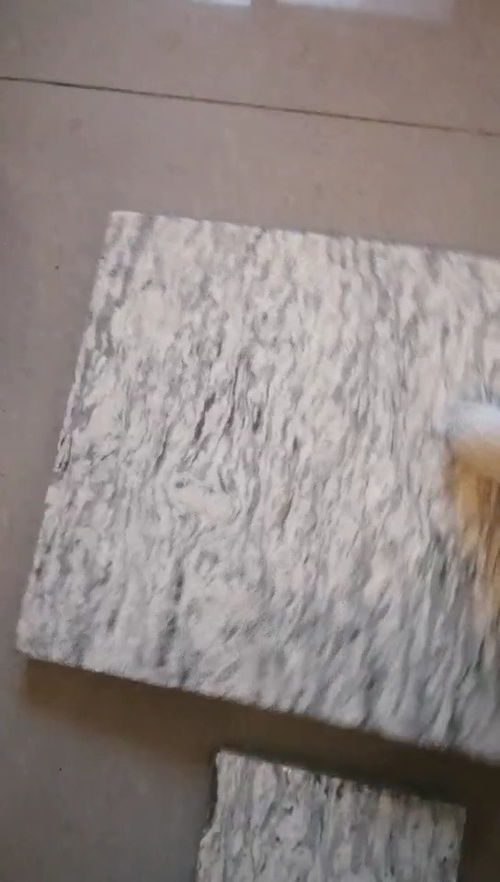 天然花崗巖浪花白巖石材 中俊石材