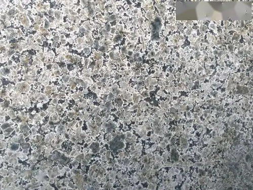 承德優(yōu)質(zhì)石材 藍(lán)豹、承德綠、皇室啡、黃金鉆的全面解析